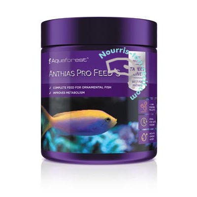 AF ANTHIAS PRO FEED