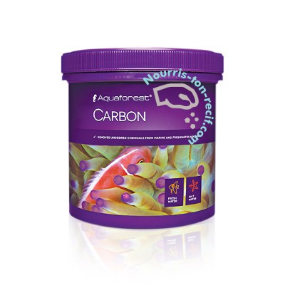 Carbon - Charbon actif