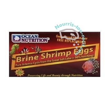 Brine Shrimp Eggs - oeufs d'artémias