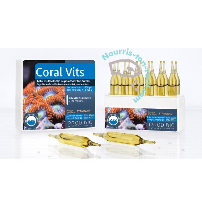 Coral Vits