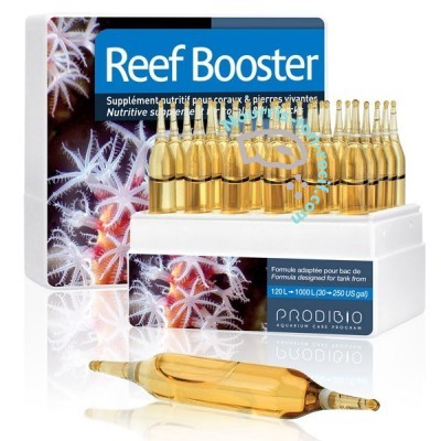 Reef Booster