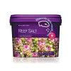 miniature de Sel Reef Salt