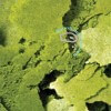 miniature de FORMULA TWO Flakes - A base d'algues